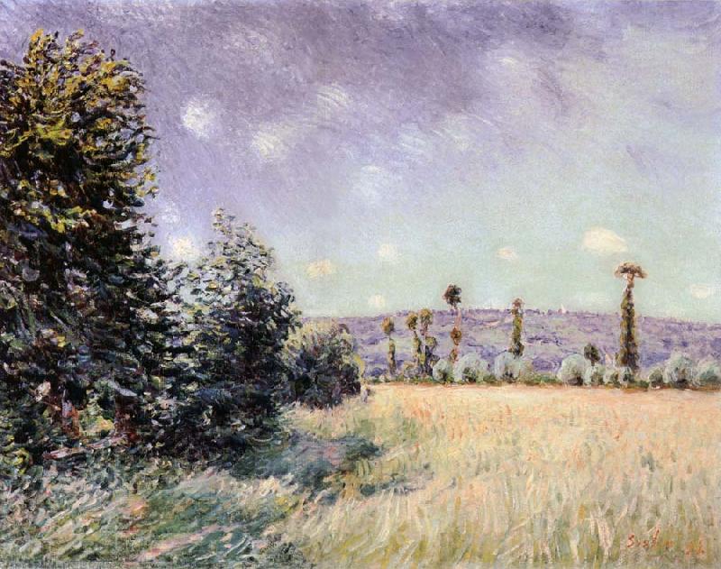 Alfred Sisley Sahurs Meadows in the Morning Sun oil painting image